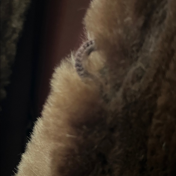 Luxurious Rabbit Fur Coat - Picture 15 of 15